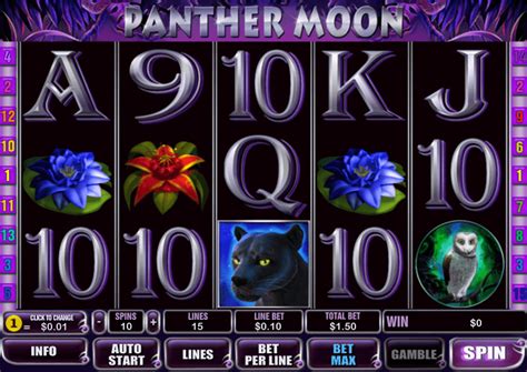  casino panther